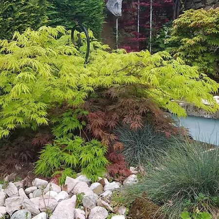 Luxury Sunset View Триест