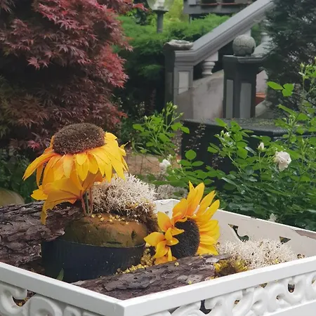 Апартаменты Luxury Sunset View Триест